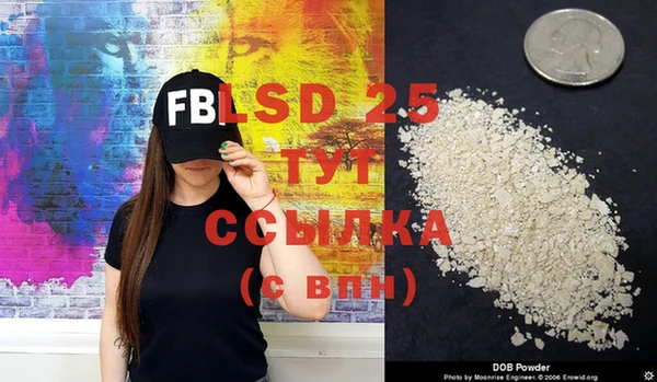 spice Богданович