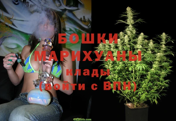 spice Богданович