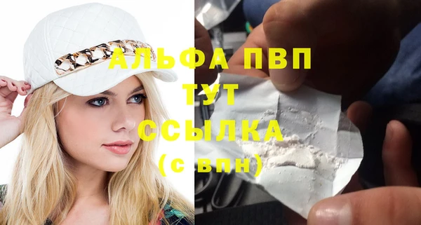 прущие грибы Богородск