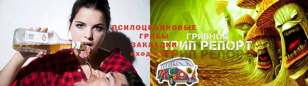 spice Богданович