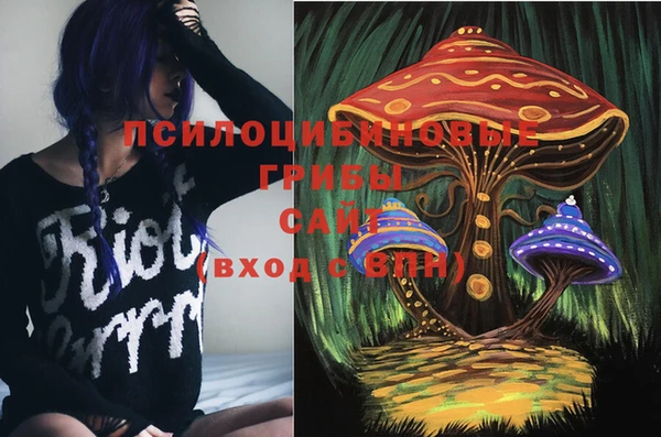 бошки Богородицк