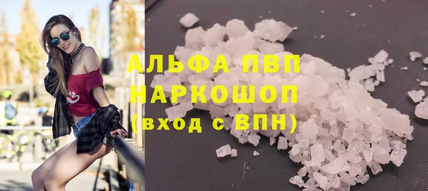 прущие грибы Богородск