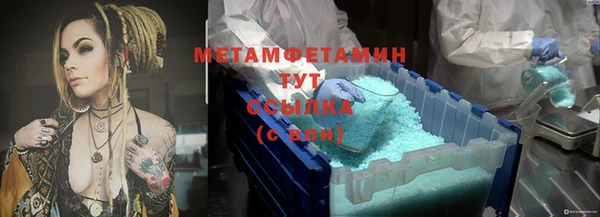 прущие грибы Богородск