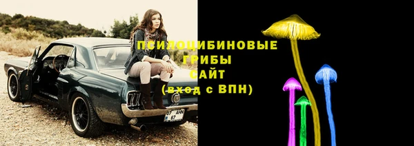 spice Богданович