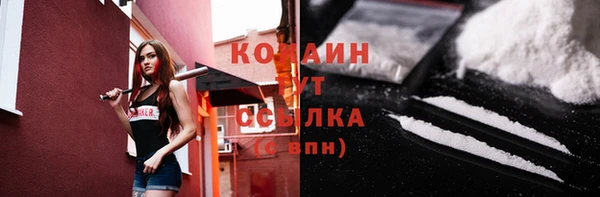 прущие грибы Богородск