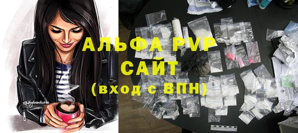 прущие грибы Богородск