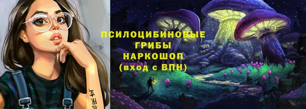 прущие грибы Богородск