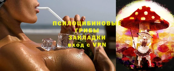 spice Богданович