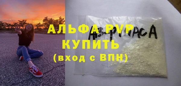 прущие грибы Богородск