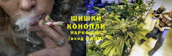 spice Богданович